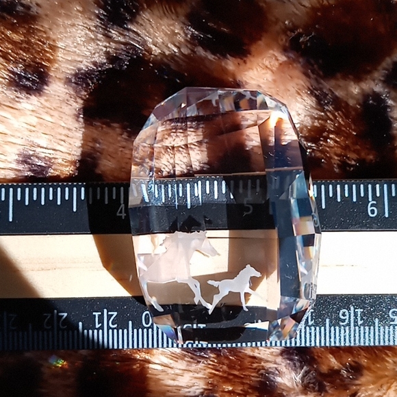 SWAROVSKI SCS MEMBERSHIP CRYSTAL - Picture 4 of 8